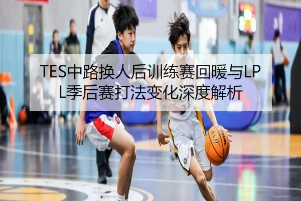 TES中路换人后训练赛回暖与LPL季后赛打法变化深度解析